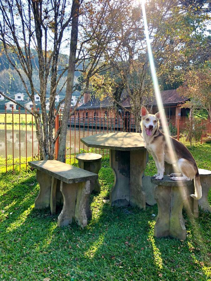Pousada Parque Das Pitangueiras Flores da Cunha Buitenkant foto