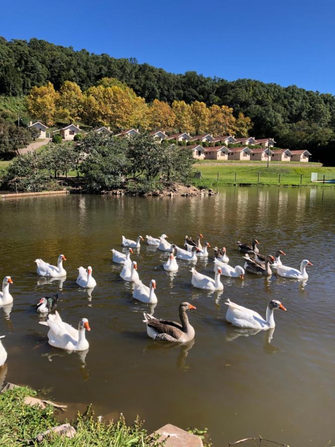 Pousada Parque Das Pitangueiras Flores da Cunha Buitenkant foto
