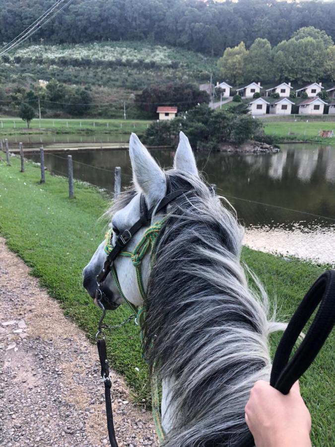 Pousada Parque Das Pitangueiras Flores da Cunha Buitenkant foto